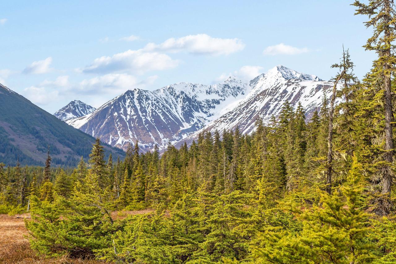 Snowbird Chalet #5 Girdwood Bagian luar foto