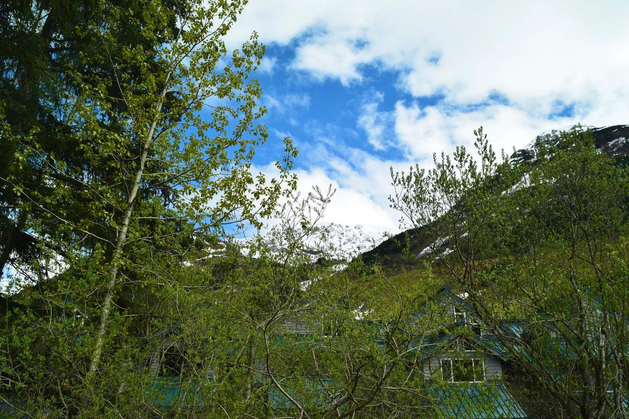 Snowbird Chalet #5 Girdwood Bagian luar foto